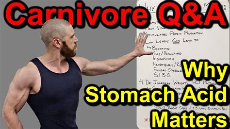 Carnivore Qanda Why Stomach Acid Matters On The Carnivore Diet And The Jonathan Wright Hcl