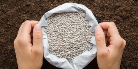 Subsidised Fertilisers To Be Sold Under ‘bharat Brand Apac News Network