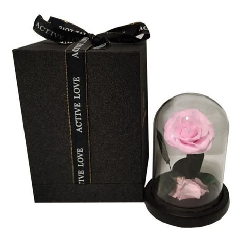 Fleur Rose Ternelle Rose Vritable Premium Cloche Et Bote Cadeau Rose