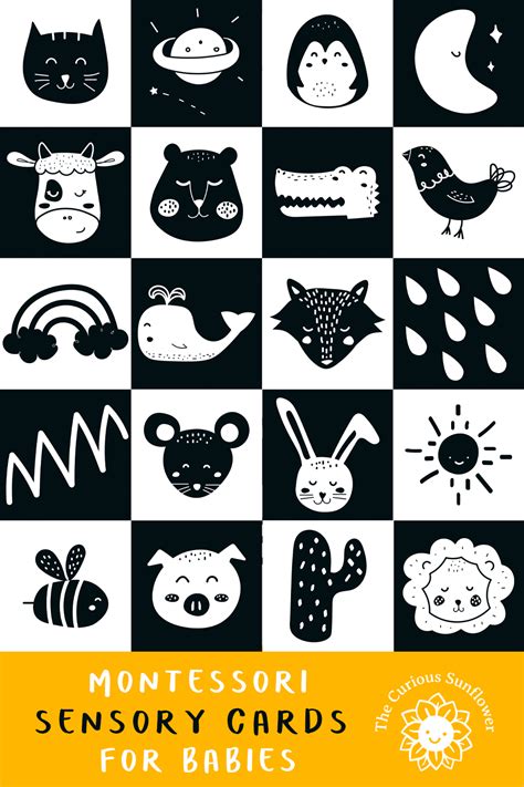 Monochrome High Contrast Black And White Stimulation Cards For Babies