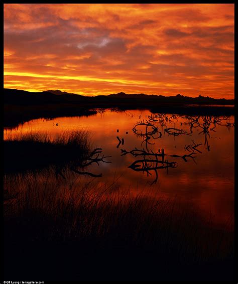 A few Large Format landscape photographs