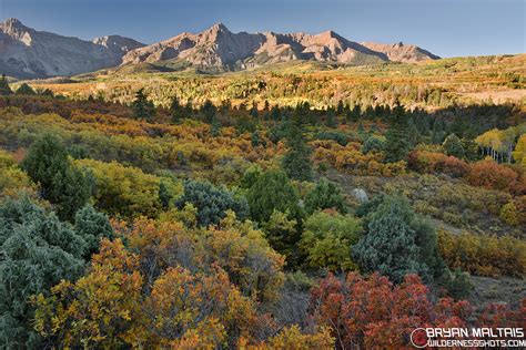 Dallas Divide Fall Colors