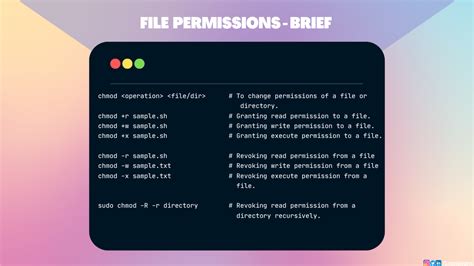 File Permissions In Linux How To Use The Chmod Command