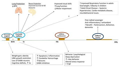 Caffeine Effects On Children