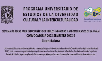 Beca para estudiantes de pueblos indígenas y afromexicanos de la UNAM 2023