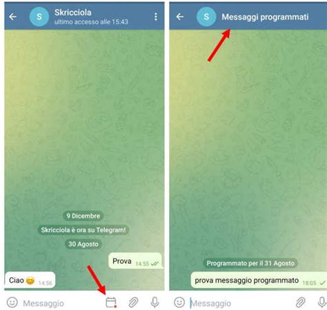 Come Programmare Un Messaggio Su Telegram Informarea