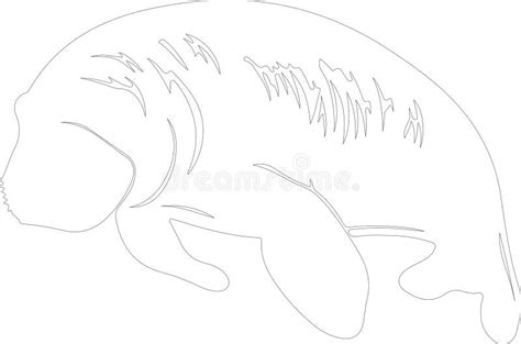 Manatee Outline Stock Illustrations – 252 Manatee Outline Stock ...