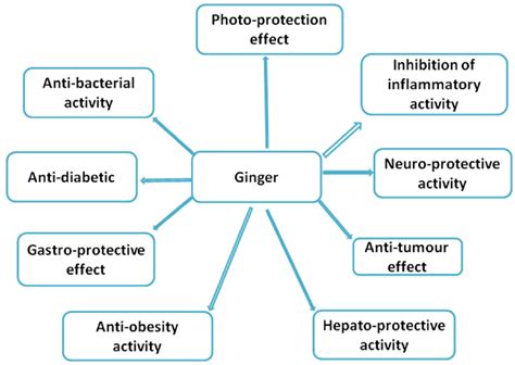 Ginger And Its Constituents Shows Role In Diseases Prevention