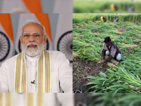 Prime Minister Narendra Modi Will Provide 9 Crore Farmers With The 16th