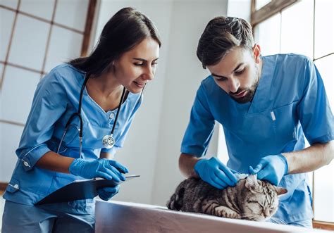 Metropolitan Community College Health Professions