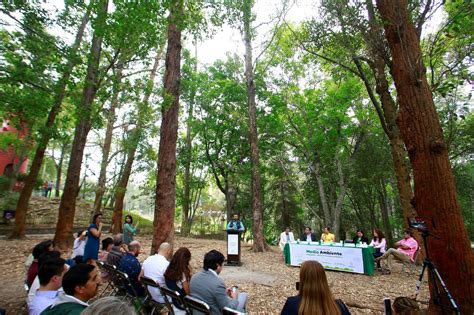 Realiza Semadet Actividades Por D A Mundial Del Medio Ambiente