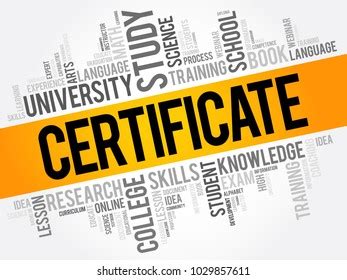 Certificate Word Cloud Collage Education Concept Image Vectorielle De