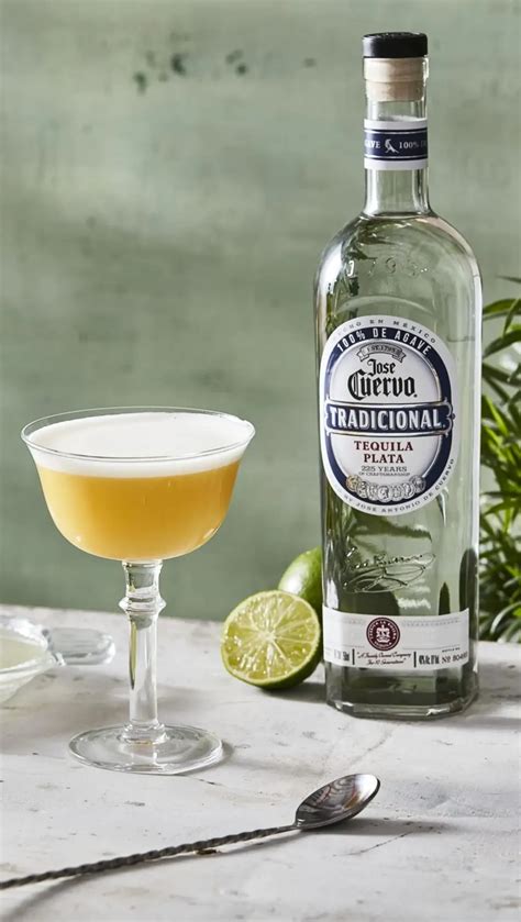 Cocktail Recipes Jose Cuervo