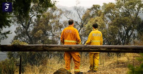 Buschbrände wüten im Südosten Australiens