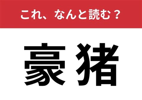 【豪猪】はなんと読む？さらっと読めたあなたは博識！ Trill【トリル】