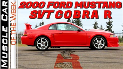 2000 Ford Mustang Svt Cobra R Muscle Car Of The Week Episode 319 Youtube