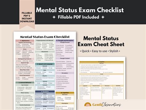 Mental Status Exam Mse Cheat Sheet Fillable Therapy Forms Etsy