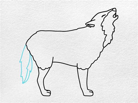 How To Draw A Howling Wolf Helloartsy