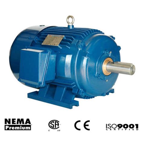 300hp 1200rpm 449t Frame Three Phase Motor