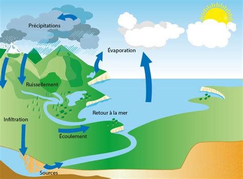 Cologie Ecology Cycle De Leau Cycle Hydrologique