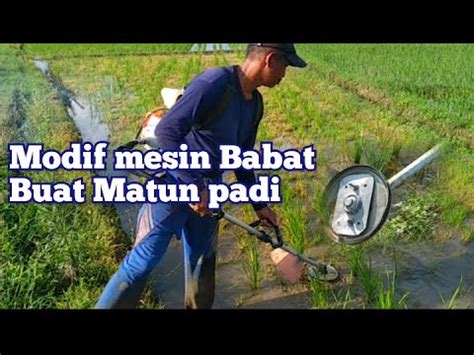 Alat Matun Padi Dari Mesin Potong Rumput YouTube