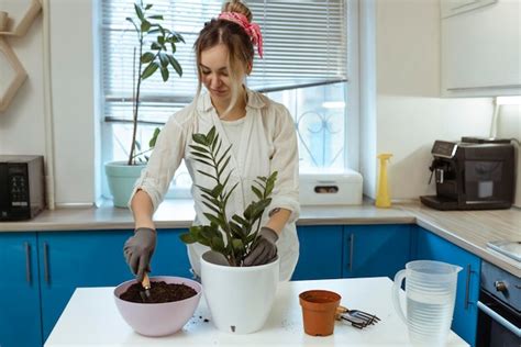 Uma Linda Garota Transplanta Uma Planta Em Casa Luvas De Jardim