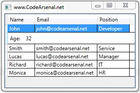 WPF DataGrid RowDetailsTemplate Code Arsenal