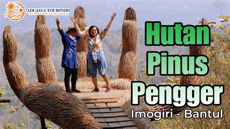 Explore Keindahan Hutan Pinus Pengger YouTube