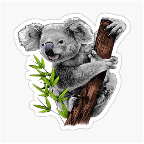 Koala Inspiriert Design Home Decor S Natur Wandbild Decal Vinyl