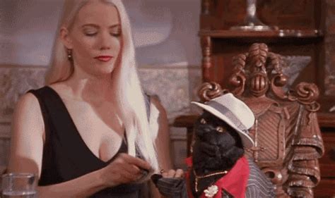 Salem The Cat GIFs - Get the best GIF on GIPHY