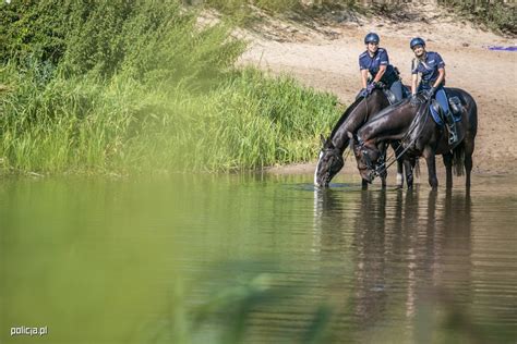 Policja Konna O Policji Portal Polskiej Policji