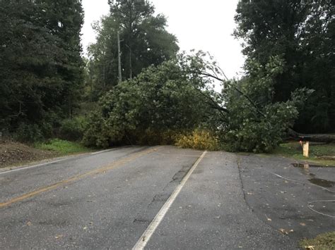 Downed Tree Blocks Roadway Tangles Powerlines Cbs 42