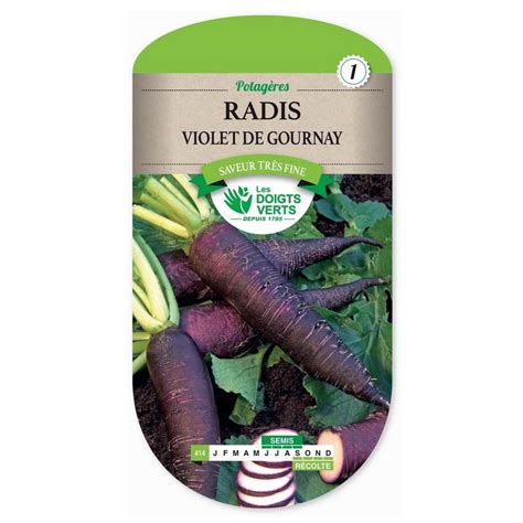 Semences Radis Violet De Gournay Gr Les Doigts Verts Estragon Be