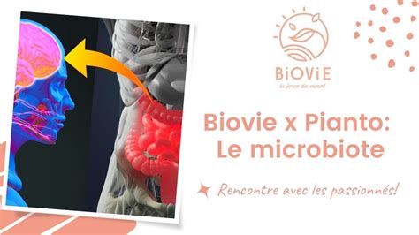 Le Microbiote Intestinal Notre Deuxi Me Cerveau Par Julien