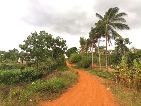 A la recherche du vaccin contre le covid19 dans les zones rurales du