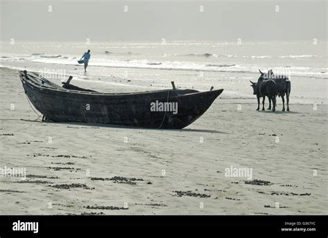 Bakkhali sea beach, near Kolkata, West Bengal, India Stock Photo - Alamy