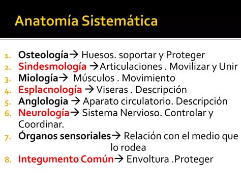 T Rminos Topogr Ficos De Estructuras Anat Micos Veterinaria Ppt