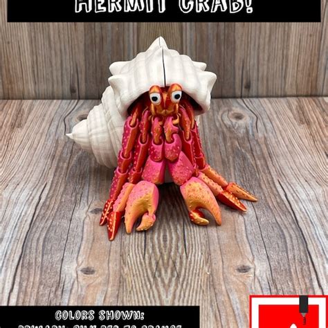 Hermit Crab - Etsy