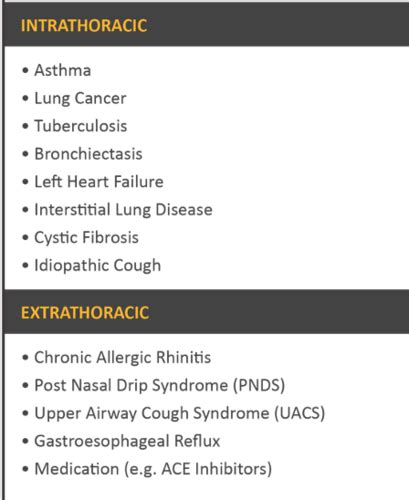 Copd Flashcards Quizlet