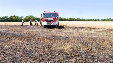 Flächenbrand Pluwig Feuerwehr Pluwig Gusterath