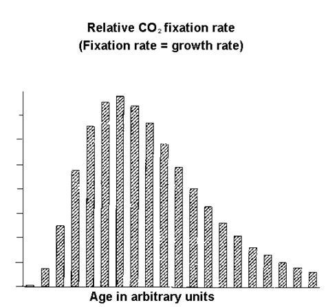 How Much Carbon Dioxide Does A Tree Absorb Each Year At Collette