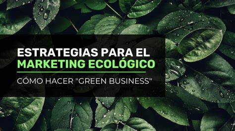 Estrategias Para El Marketing Ecológico Cómo Hacer “green Business”