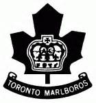 Toronto Marlboros hockey team [OHL] statistics and history at hockeydb.com