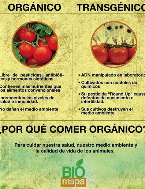 Alimentos orgánicos vs convencionales Descubre las diferencias