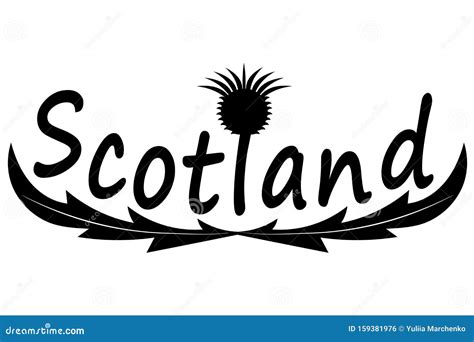 Thistle symbol of Scotland stock vector. Illustration of petals - 159381976