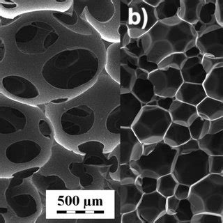 SEM Images Of Polyurethane Foams With Open A And Closed B Cellular