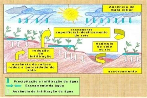 Elabore Um Texto Explicando O Processo Associamento Dos Rios Para Isto