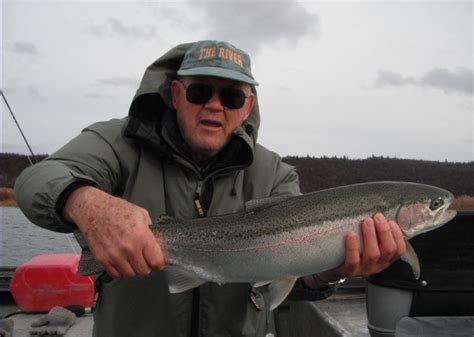 Trip Report Alaska - Naknek River