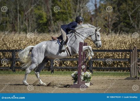 Dapple Grey Thoroughbred Jumping