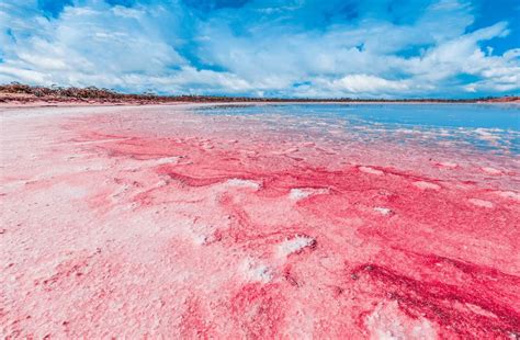 35 Interesting Lake Hillier Facts